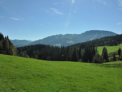 ...und der Blick nach Süden wird frei.