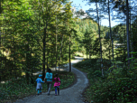 ...und durch den Wald.
