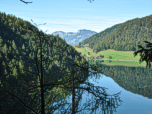 Im Hintergrund das Hundsalmjoch und das Köglhörndl