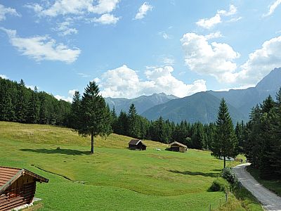 Unter uns finden sich Almwiesen und...
