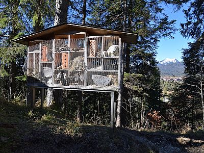 Wir passieren ein Insektenhotel