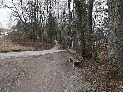 ...jeweils geradeaus.