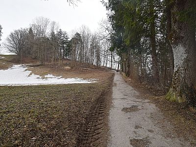 Der Weg wird nun etwas steiler.