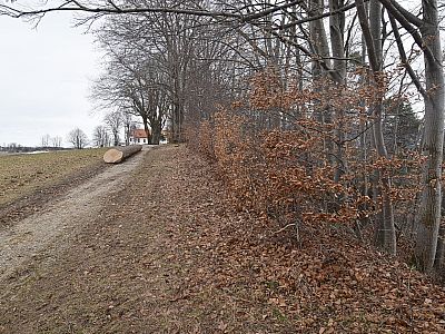 ... und marschieren über den Bergrücken....