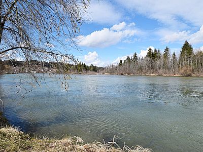 Im angestauten Bereich ist die Isar recht flach