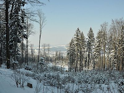 Blick auf das Voralpenland