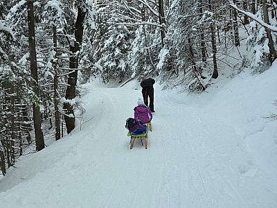 Zwei Schlitten werden dann schon langsam schwer.