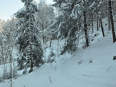 Der schmale Weg weiter nach Maria Eck