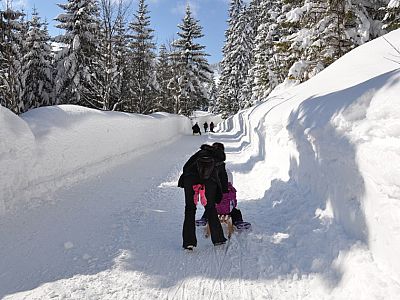 Vor dem Ziel geht es kurz bergab,...