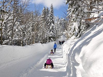 Jeder Meter bergab wird ausgekostet