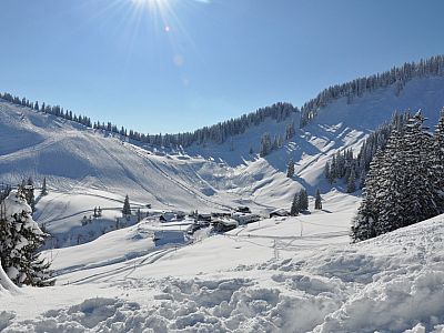 für die anderen eher die Aussicht auf die Untere Firstalm.