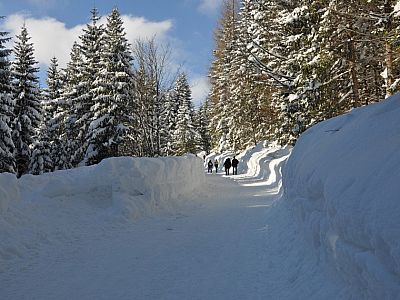 Mit sanften Bögen und ...