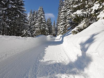 ...mäßig steil zieht sich die Route den Berg hinauf.