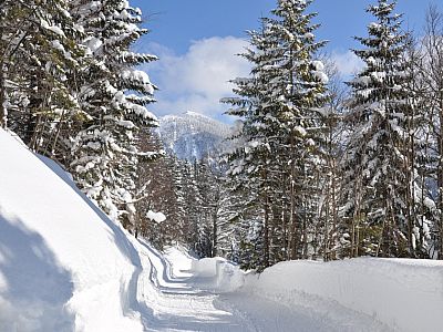 Blick zurück nach Osten zum Jägerkamp