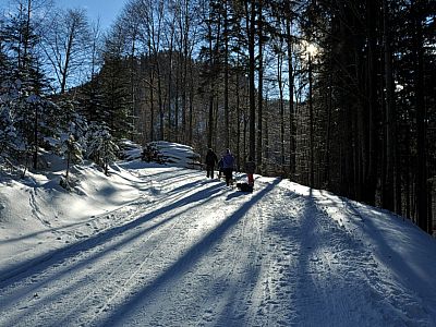 Die gut präparierte Naturrodelbahn zur Priener Hütte