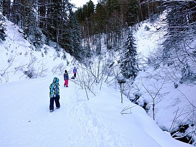 Wir marschieren am Talgraben entlang...