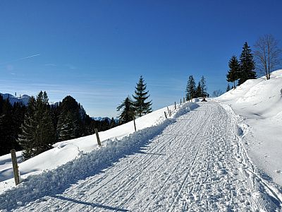 ... bevor wir auf die freien Flächen der Talalm stoßen.