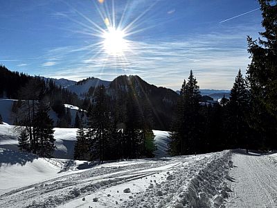 ... vergehen in der warmen Wintersonne und ...