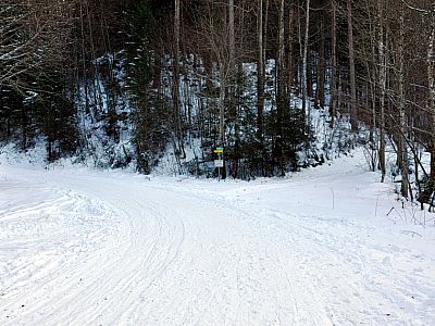 Hier halten wir uns links