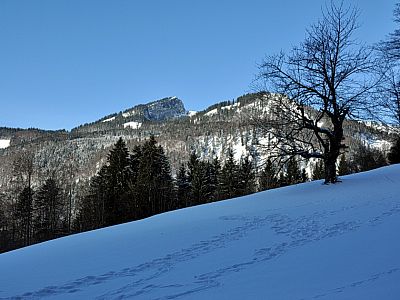 Im Nordwesten der Spitzstein (1594 m) und der Brandlberg (1516 m)
