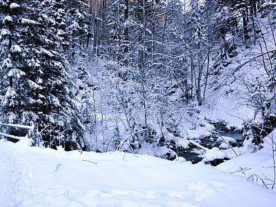 Wir überqueren den Talgraben 