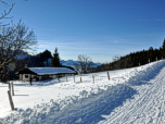 Die Obere Talalm