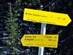 Die 30 Minuten bis zur Hütte, ...