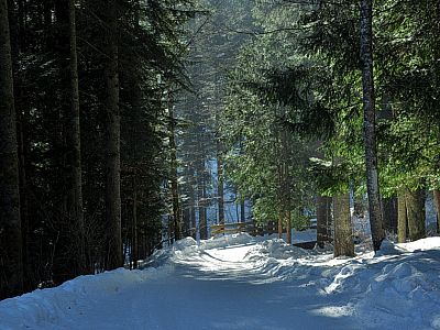 Hier sausen wir später mit dem Schlitten hinunter