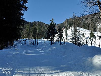 Rechts oben liegt die Reiserlam