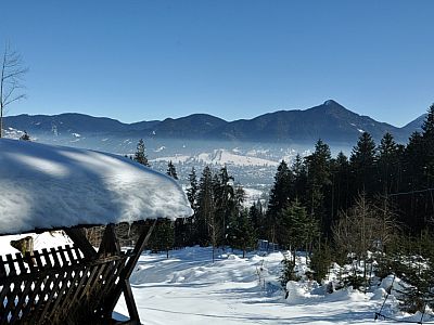 Das Rotwild wird hier regelmäßig gefüttert