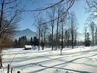 Der Geierstein (1491 m) im Osten