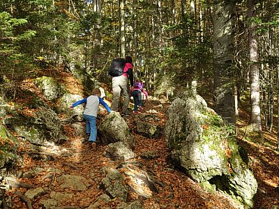Der Weg wird interessanter.