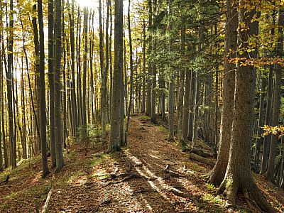 Beim Abstieg bleiben wir länger auf dem Grat.
