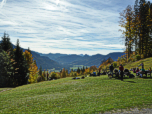 ...bis die Wiese und das ...