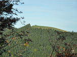 Blick zur Kreuzbergalm