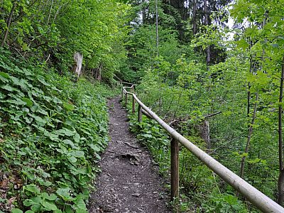 Wir nehmen die ersten Höhenmeter in Angriff