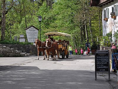 ... sich mit der Kutsche in den Ort fahren lassen.