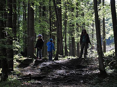 Durch den Wald...