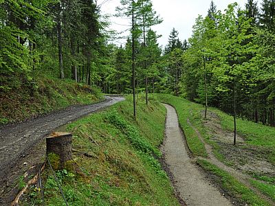 ...zur Bobbahn mit der...