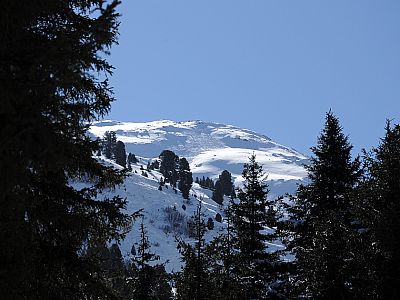 Am Kraxentrager haben die Tourengeher ihre Spuren im Schnee hinterlassen