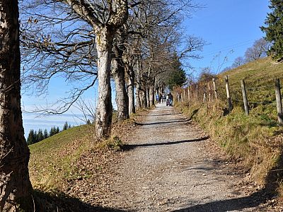Der breite Schotterweg...