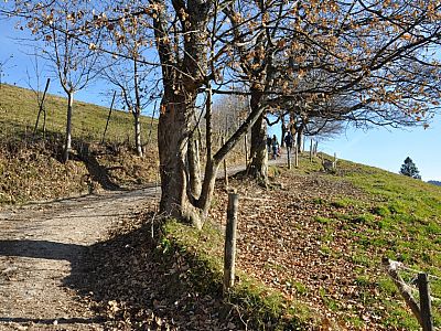 Nach einer weiteren Kurve...