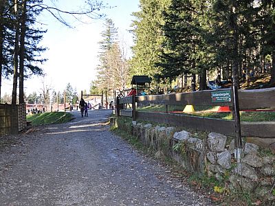 Wenig später erreichen wir die Alm, ...