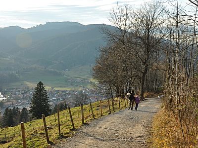 Gestärkt treten wir den Heimweg an.