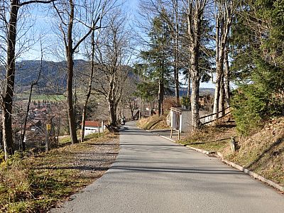 Blick zurück auf den geteerten Aufstiegsweg