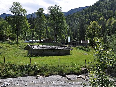 Die Alm ist in Sicht