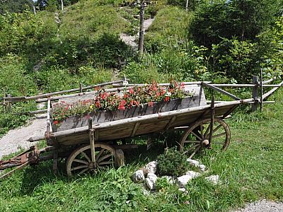 am Leiterwagen vorbei..