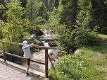 Zufluss zur Hofbauernweißach