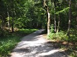 breiten Waldweg.
