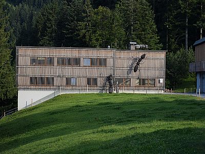 Riesige Ameisen klettern über die Fassade dieses Hauses